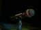 02270037.jpg (5786 Byte)