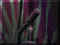 11260005.JPG (11703 Byte)