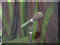 11260013.JPG (13289 Byte)